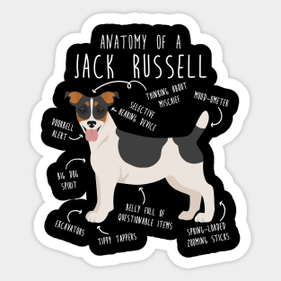 Jack Russell Terrier Dog Anatomy Sticker